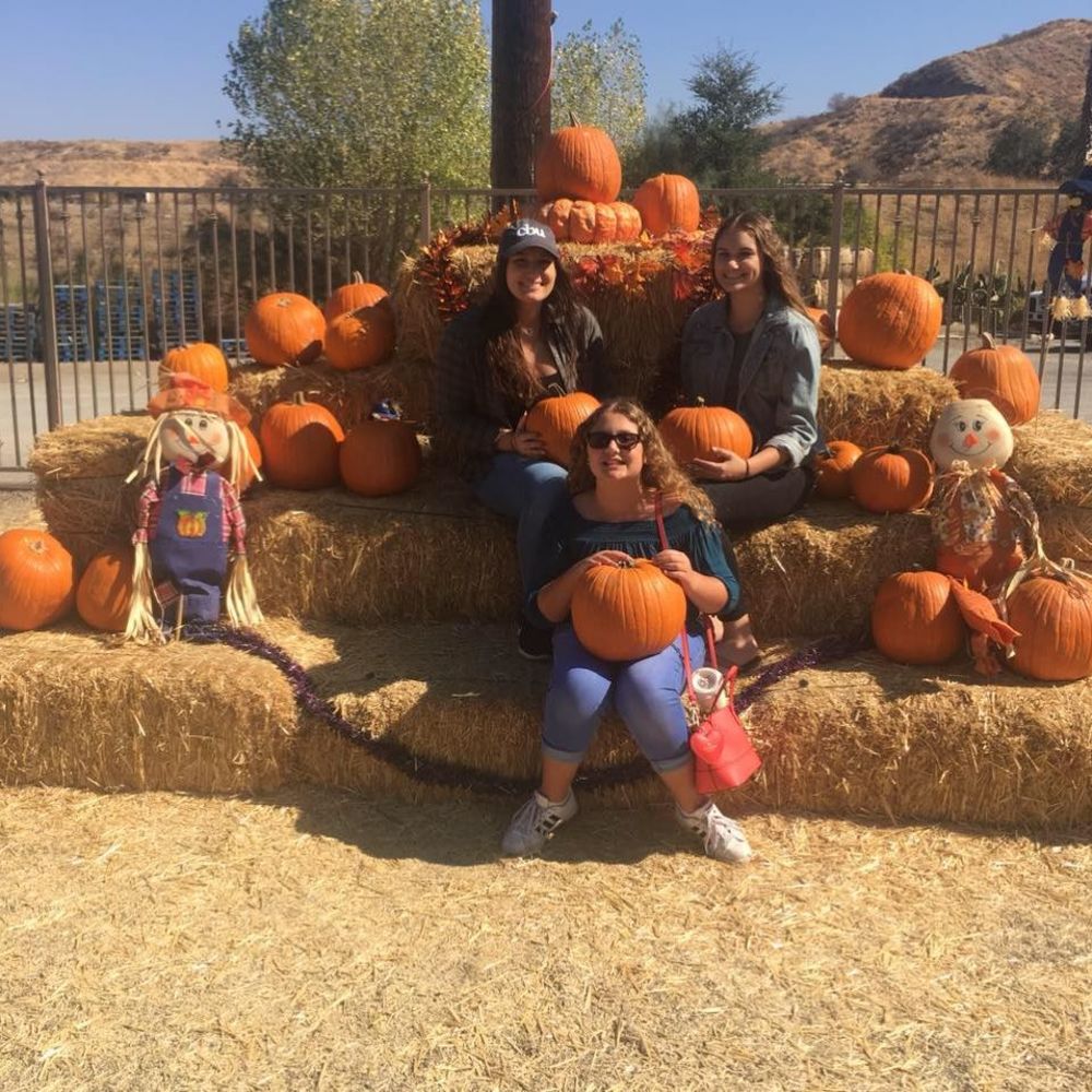 Meet your Posher, Sandi